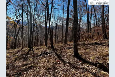 Lot 2 Chappell Farm Road, Banner Elk, NC 28604 - Photo 20