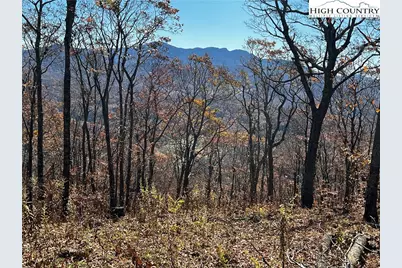 Lot 2 Chappell Farm Road, Banner Elk, NC 28604 - Photo 4