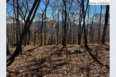 Lot 2 Chappell Farm Road, Banner Elk, NC 28604 - Photo 12