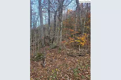 Tbd Junaluska Road, Boone, NC 28607 - Photo 16