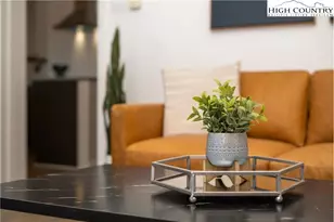 102 Sugar Ski Dr, Sugar Mountain, NC 28604 - Photo 10