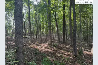 Tbd US Highway 221, Jefferson, NC 28640 - Photo 2