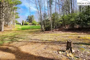 683 Joe Hartley Rd, Linville, NC 28646 - Photo 44