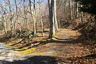 867 Ski Acres Dr, Blowing Rock, NC 28605 - Photo 44