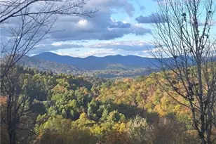 867 Ski Acres Dr, Blowing Rock, NC 28605 - Photo 46