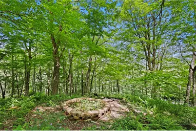 867 Ski Acres Drive, Blowing Rock, NC 28605 - Photo 46