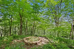 867 Ski Acres Dr, Blowing Rock, NC 28605 - Photo 46