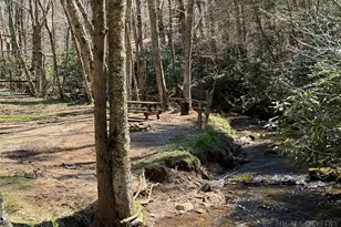 2291 Pine Swamp Road Rd, Fleetwood, NC 28626 - Photo 14