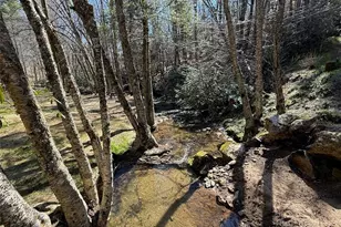 2291 Pine Swamp Road Rd, Fleetwood, NC 28626 - Photo 12