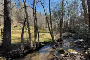 2291 Pine Swamp Road Rd, Fleetwood, NC 28626 - Photo 16