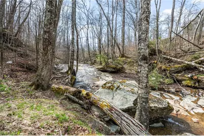 106 W Pond Creek Road #A, Beech Mountain, NC 28604 - Photo 24