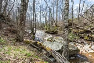 106 W Pond Creek Rd, Beech Mountain, NC 28604 - Photo 24
