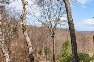 106 W Pond Creek Rd, Beech Mountain, NC 28604 - Photo 4