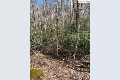 116 E Blueberry Lane, Beech Mountain, NC 28604 - Photo 12