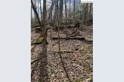 116 E Blueberry Lane, Beech Mountain, NC 28604 - Photo 8