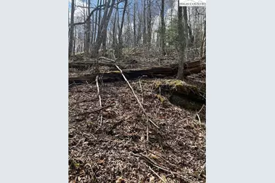 116 E Blueberry Lane, Beech Mountain, NC 28604 - Photo 10