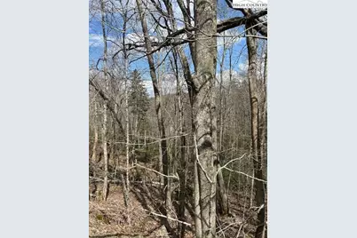 116 E Blueberry Lane, Beech Mountain, NC 28604 - Photo 2