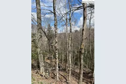 116 E Blueberry Lane, Beech Mountain, NC 28604 - Photo 6