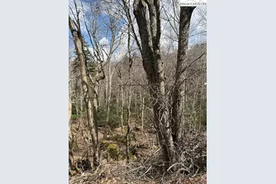 116 E Blueberry Lane, Beech Mountain, NC 28604 - Photo 4