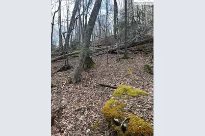 116 E Blueberry Lane, Beech Mountain, NC 28604 - Photo 14