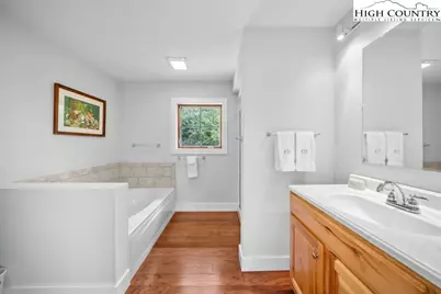 342 Ripshin Lake Road, Roan Mountain, TN 38687 - Photo 26