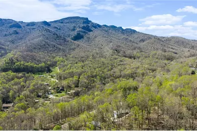 184 Dutch Treat Road, Banner Elk, NC 28604 - Photo 8