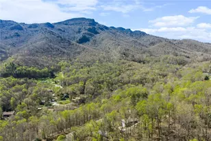 184 Dutch Treat Rd, Banner Elk, NC 28604 - Photo 8
