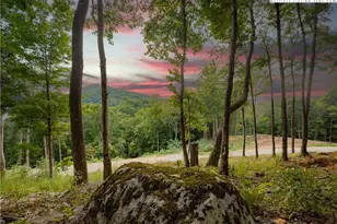 C120 Springwater Ln, Banner Elk, NC 28604 - Photo 1