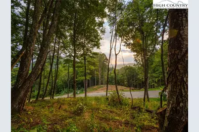 C120 Springwater Lane, Banner Elk, NC 28604 - Photo 8