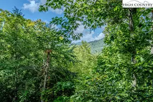 304 McGuire Rd, Sugar Grove, NC 28679 - Photo 22
