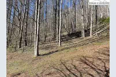 6 Stonegate Lane, Creston, NC 28615 - Photo 14