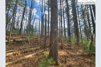 Tbd Panorama Drive, Todd, NC 28684 - Photo 1