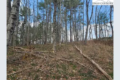 Tbd Panorama Drive, Todd, NC 28684 - Photo 16