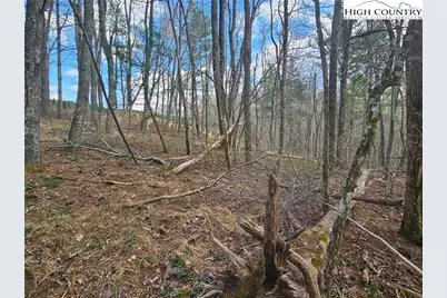 Tbd Panorama Drive, Todd, NC 28684 - Photo 10