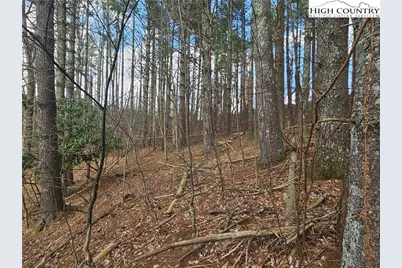 Tbd Panorama Drive, Todd, NC 28684 - Photo 8