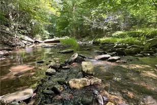 180 Riverwood Ln, Sparta, NC 28675 - Photo 40