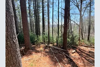 Lot 24 New River Overlook, West Jefferson, NC 28694 - Photo 6