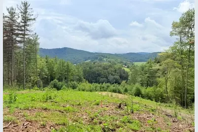 Lot 24 New River Overlook, West Jefferson, NC 28694 - Photo 14