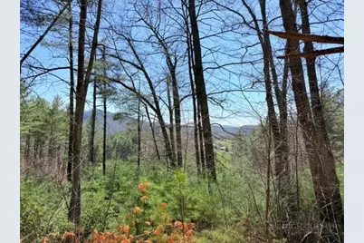 Lot 24 New River Overlook, West Jefferson, NC 28694 - Photo 4