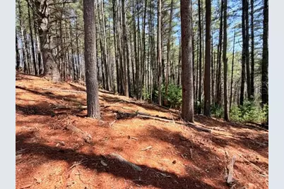 Lot 24 New River Overlook, West Jefferson, NC 28694 - Photo 2