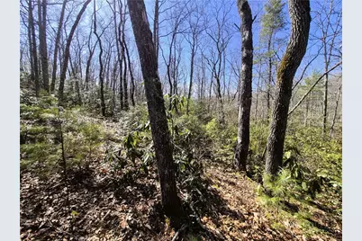 Lot 35 Smoke Rise Path, West Jefferson, NC 28694 - Photo 6