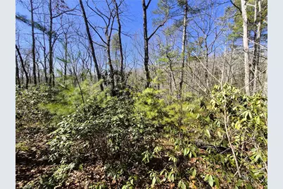 Lot 35 Smoke Rise Path, West Jefferson, NC 28694 - Photo 2