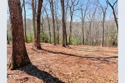 Lot66 Autumn Fern Trail, West Jefferson, NC 28694 - Photo 8