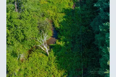 Tbd Mountain View Road, Glade Valley, NC 28627 - Photo 6