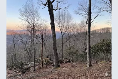G30 Lodge Woods Trail, Banner Elk, NC 28604 - Photo 4