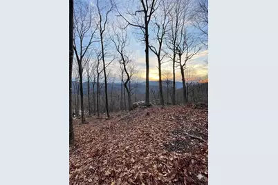 G30 Lodge Woods Trail, Banner Elk, NC 28604 - Photo 2