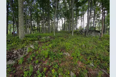 G30 Lodge Woods Trail, Banner Elk, NC 28604 - Photo 22