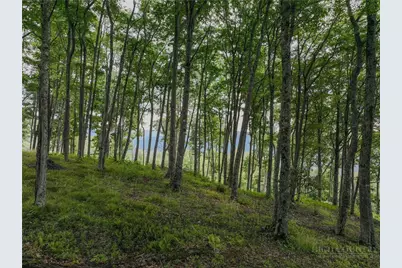 G30 Lodge Woods Trail, Banner Elk, NC 28604 - Photo 24