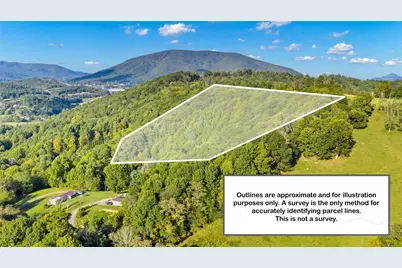 Tbd Mulatto Mountain Road, West Jefferson, NC 28694 - Photo 10