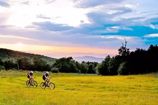 517 Pine Ridge Rd, Beech Mountain, NC 28604 - Photo 44